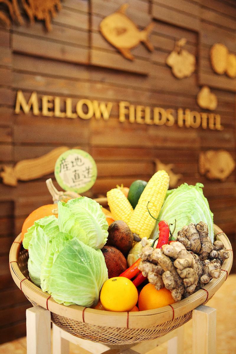 Mellow Fields Hotel Ταϊπέι Εξωτερικό φωτογραφία